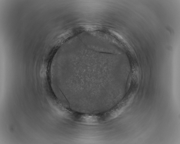 X0000111120221200907281036