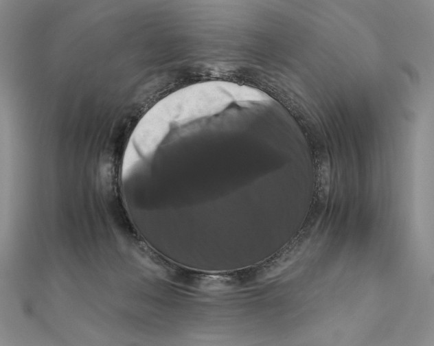X0000111120222200907281036
