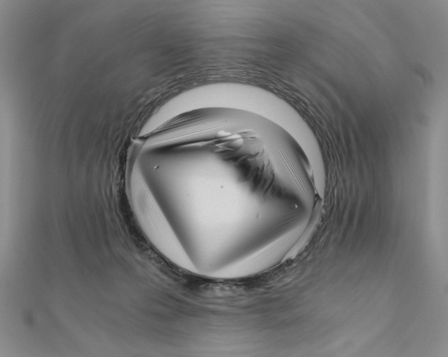 X0000111120223200907281036