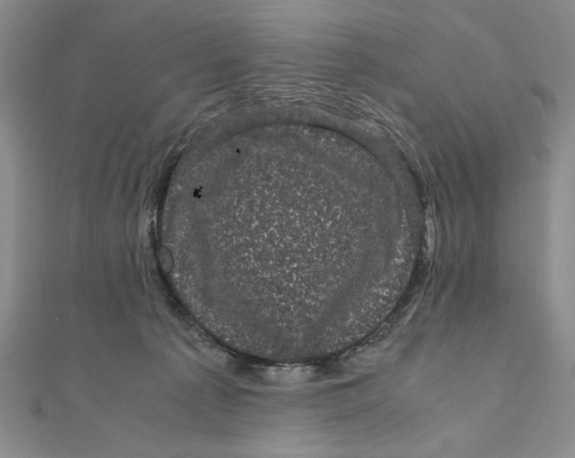 X0000111120225200907281036