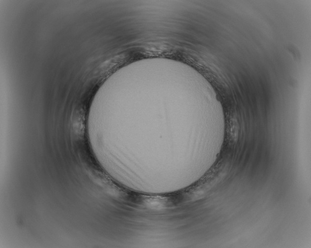 X0000111120226200907281036