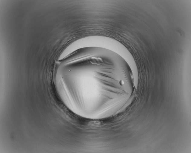 X0000111120227200907281036