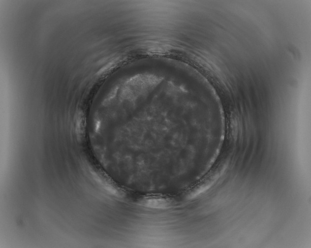 X0000111120228200907281036