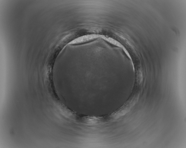 X0000111120229200907281036