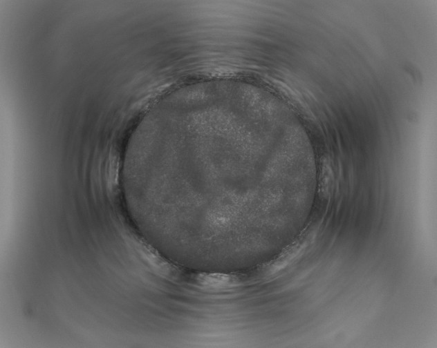 X0000111120230200907281036