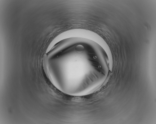 X0000111120231200907281036