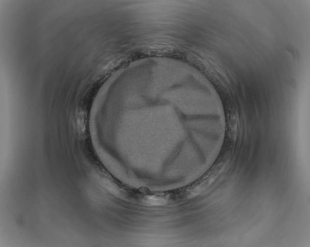 X0000111120232200907281036