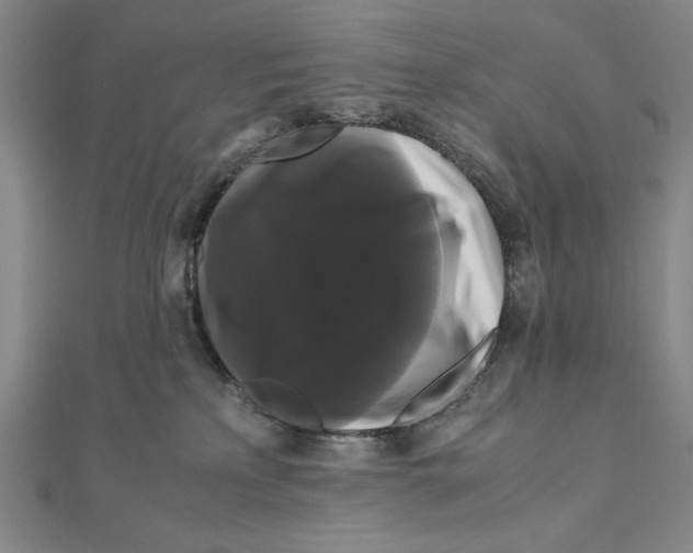 X0000111120233200907281036