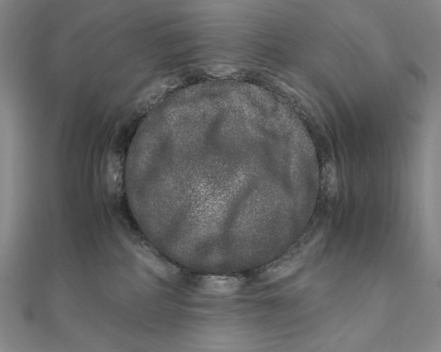 X0000111120234200907281036