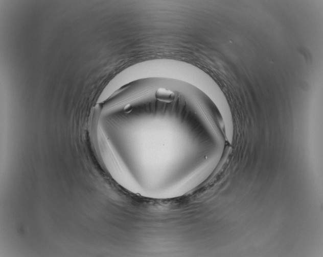 X0000111120235200907281036