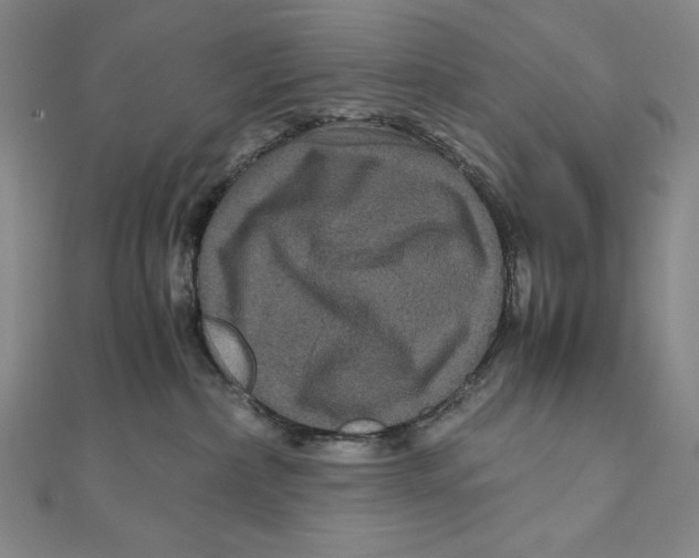 X0000111120236200907281036