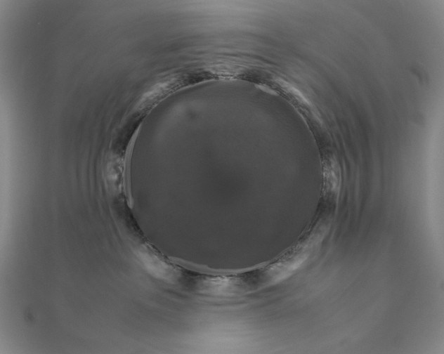 X0000111120237200907281036
