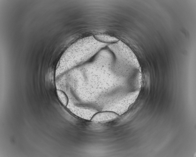 X0000111120238200907281036