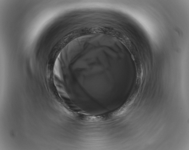 X0000111120239200907281036