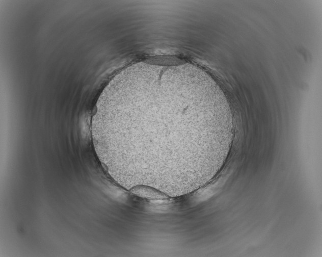 X0000111120240200907281036