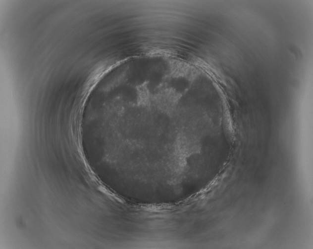 X0000111120241200907281035