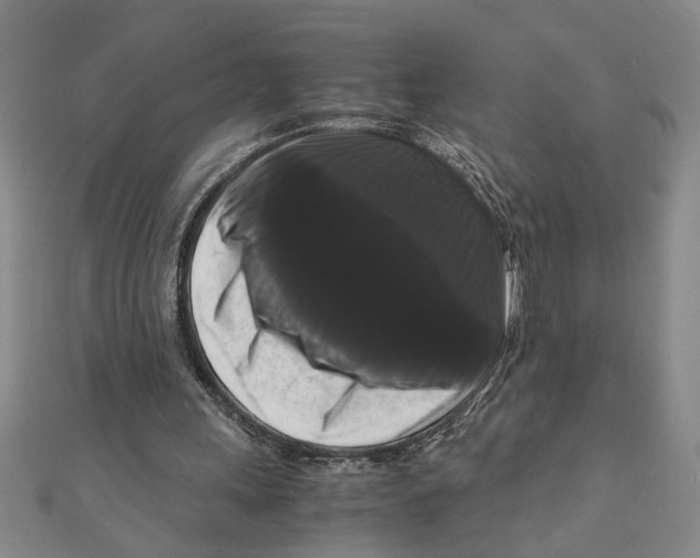 X0000111120243200907281035