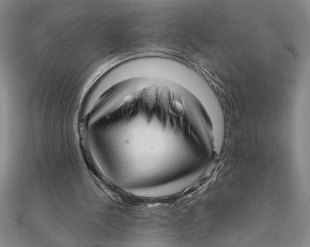 X0000111120244200907281035