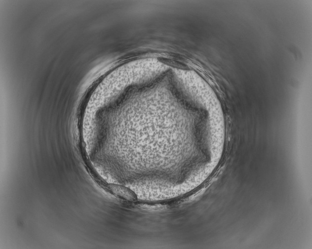 X0000111120245200907281035