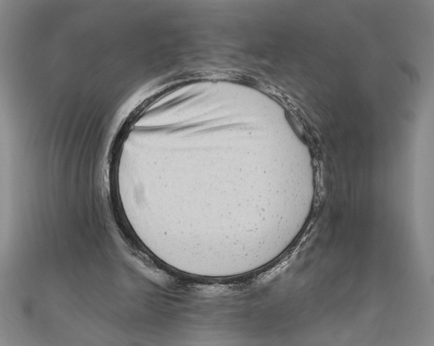 X0000111120246200907281035