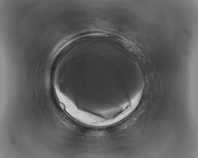 X0000111120247200907281035