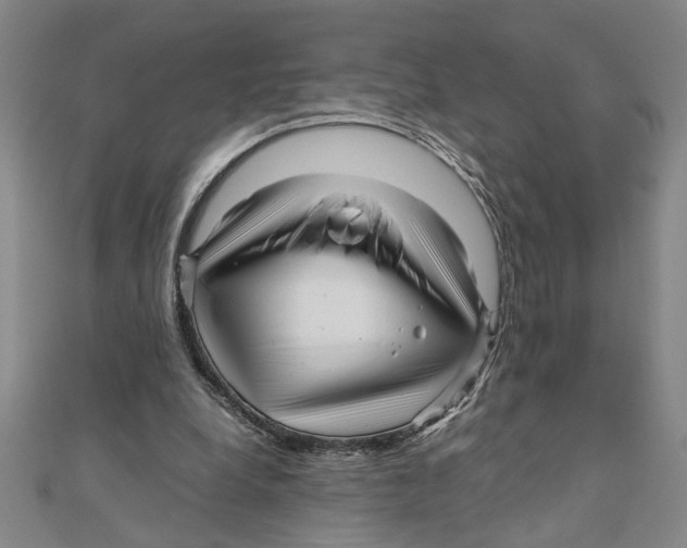 X0000111120248200907281035