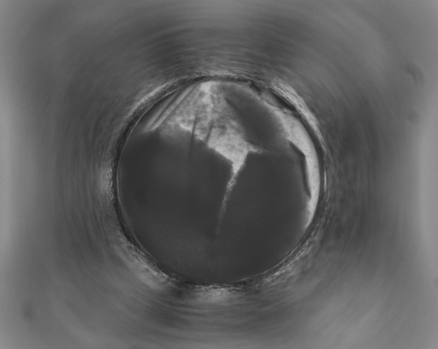 X0000111120249200907281035