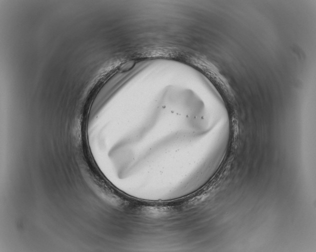 X0000111120250200907281035