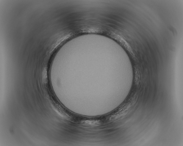 X0000111120251200907281035