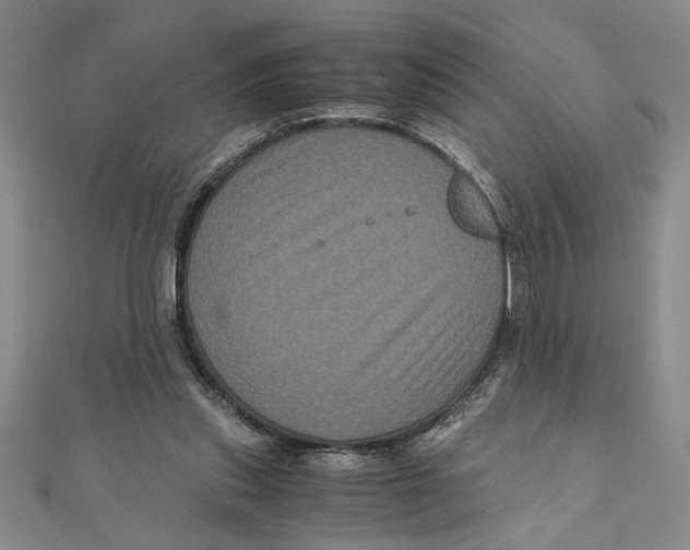 X0000111120253200907281035