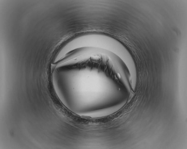 X0000111120256200907281035