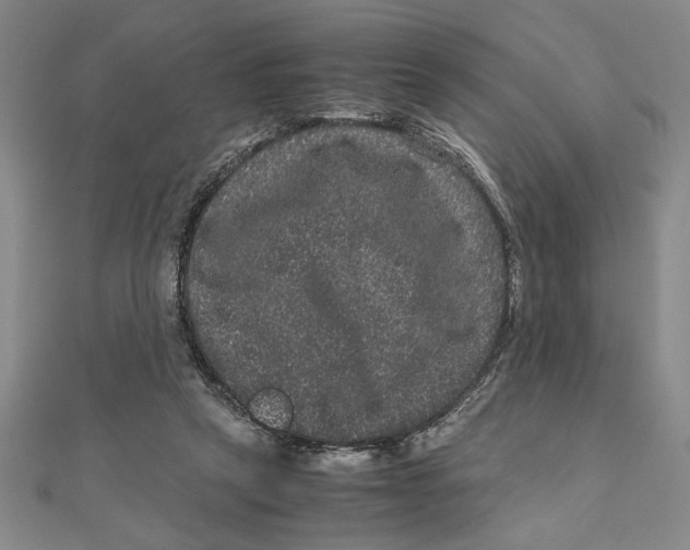X0000111120257200907281035
