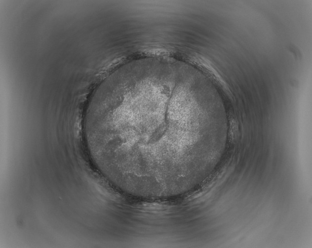X0000111120259200907281035