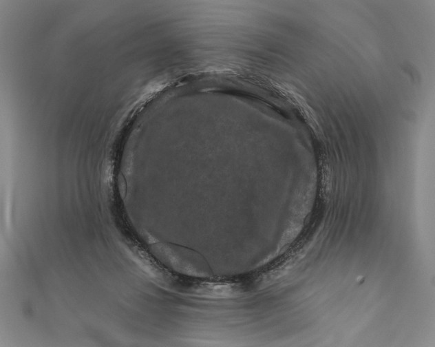 X0000111120260200907281035