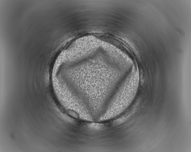 X0000111120261200907281035
