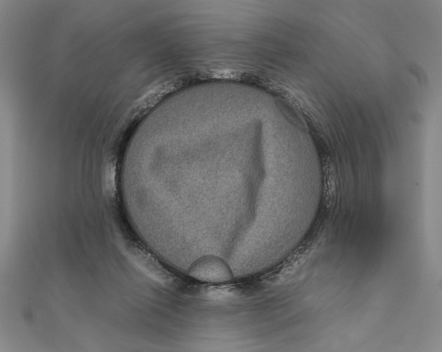 X0000111120262200907281035