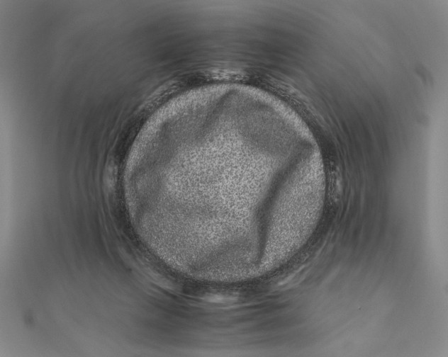 X0000111120263200907281035