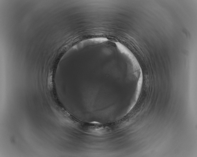 X0000111120267200907281035