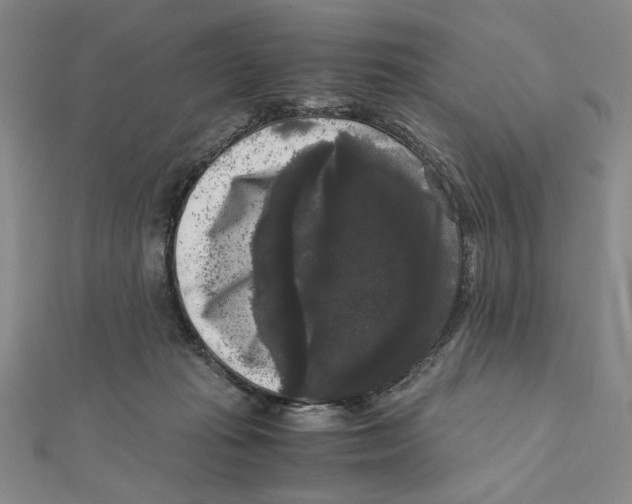 X0000111120269200907281035