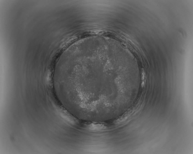 X0000111120270200907281035