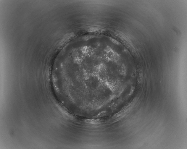 X0000111120273200907281035