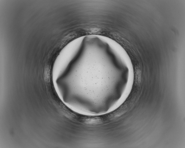 X0000111120274200907281035
