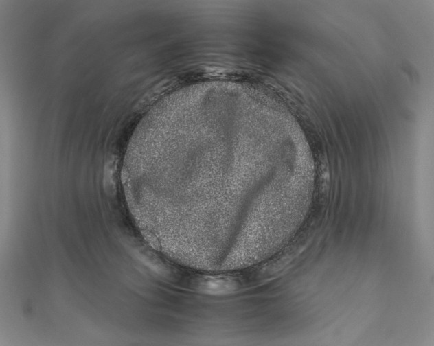 X0000111120275200907281035