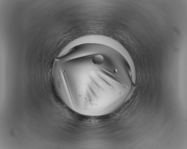 X0000111120276200907281035