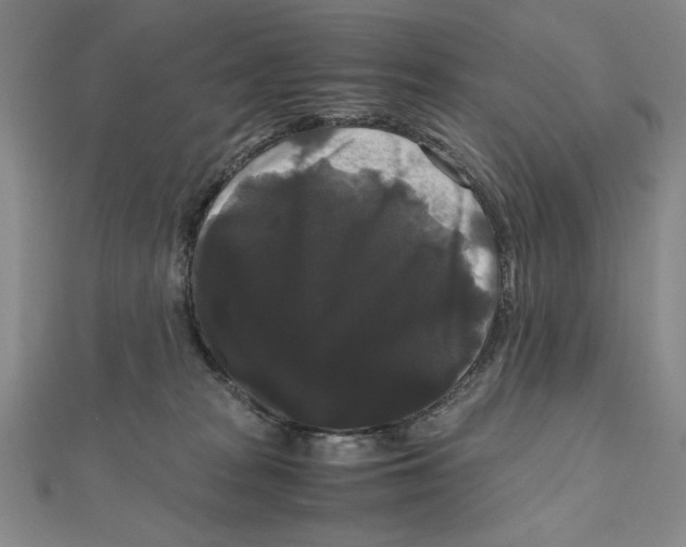 X0000111120277200907281035