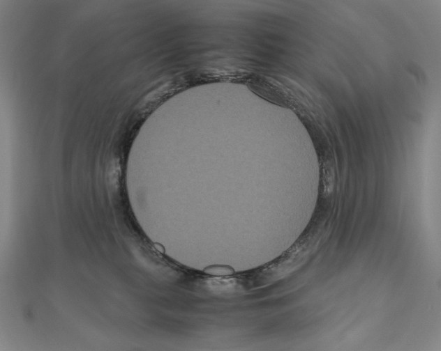 X0000111120279200907281035
