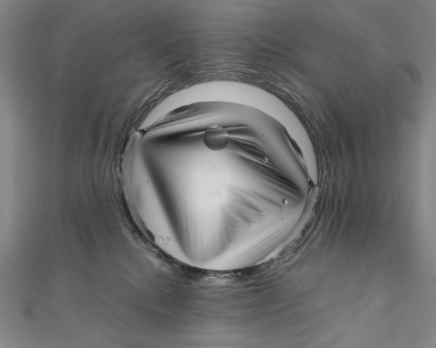 X0000111120280200907281035