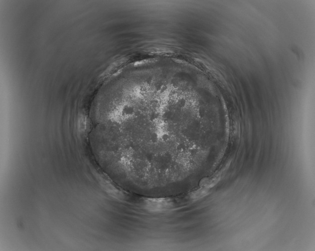 X0000111120281200907281035