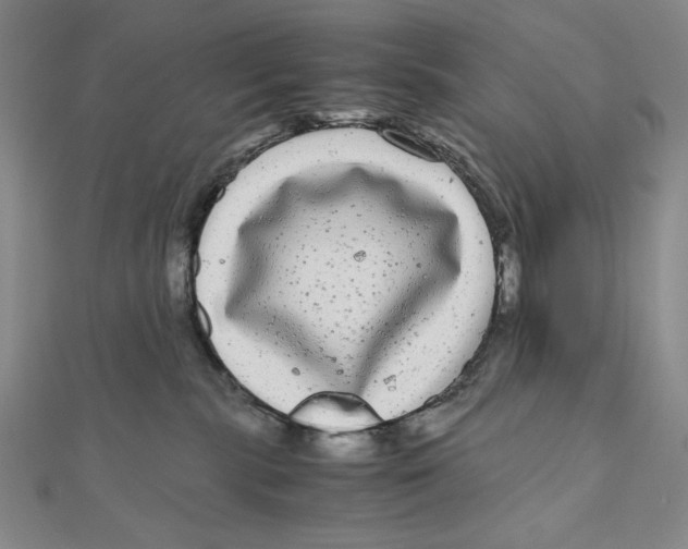 X0000111120283200907281036