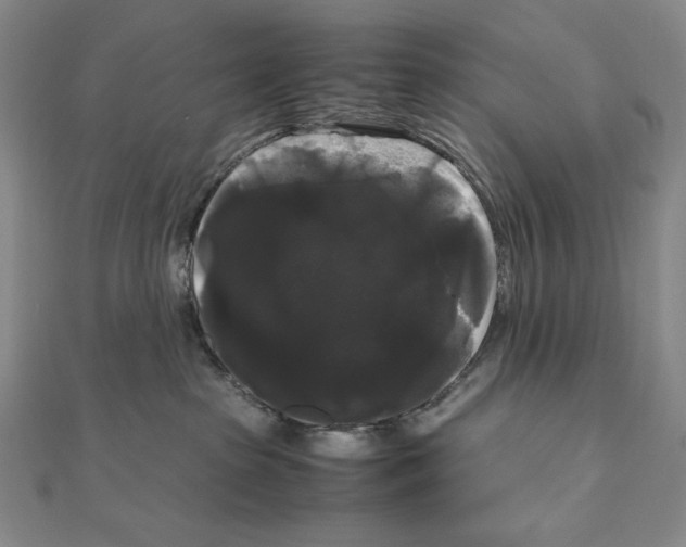 X0000111120285200907281036